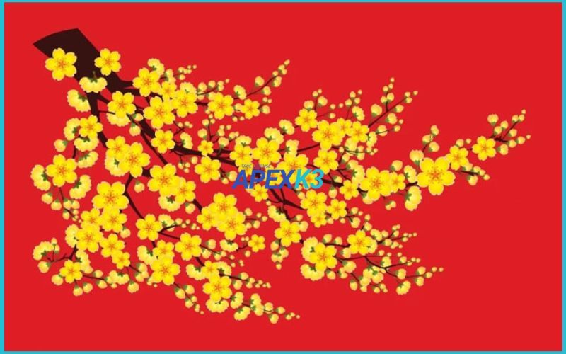 hoa-mai-vector-illustrator-1.jpg