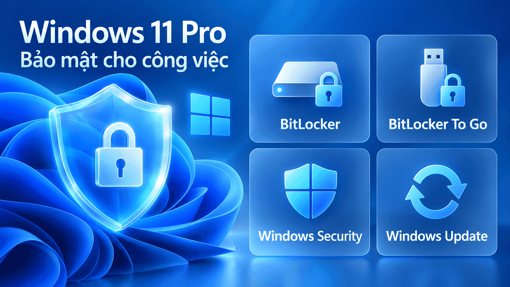 key-win-11-pro-apexk3-3.png