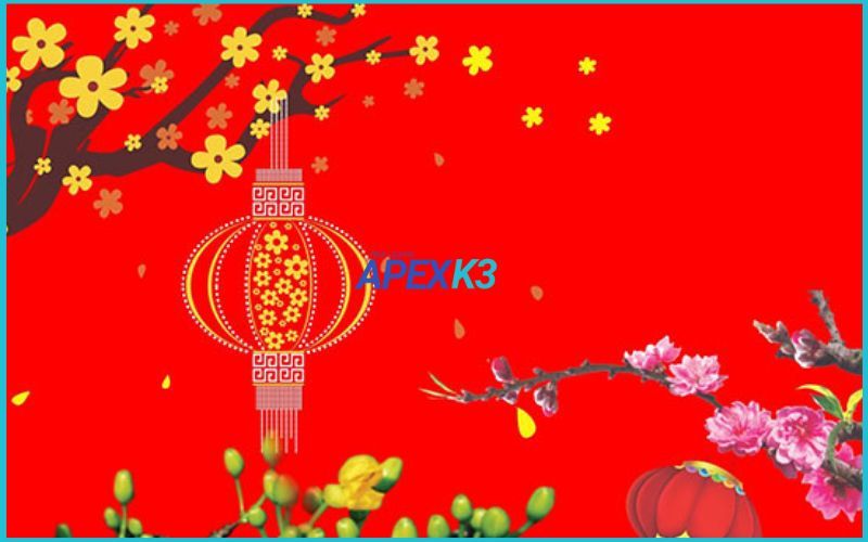y-nghia-hoa-mai-trong-van-hoa-viet-2.jpg